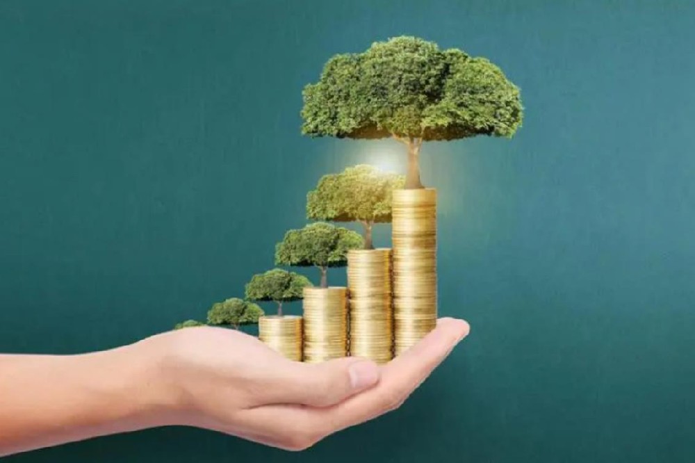 武侯区、成华区、龙泉驿区个人借贷当天放款 私人短借 无抵押上门办理